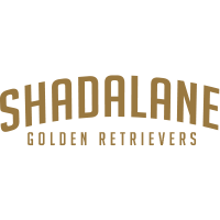 Shadalane Golden Retrievers