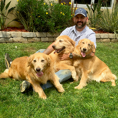 Shadalane Golden Retrievers Golden Retriever Puppies For Sale Golden Retriever Breeders Trained Goldens